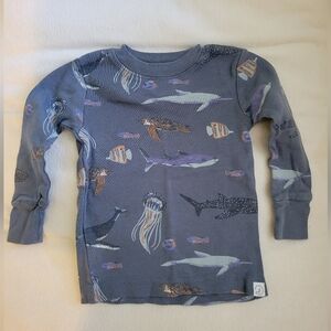 Carter’s Little Planet 2 Piece 100% Organic Cotton Deep Blue Sea PJ’s 12 Mo